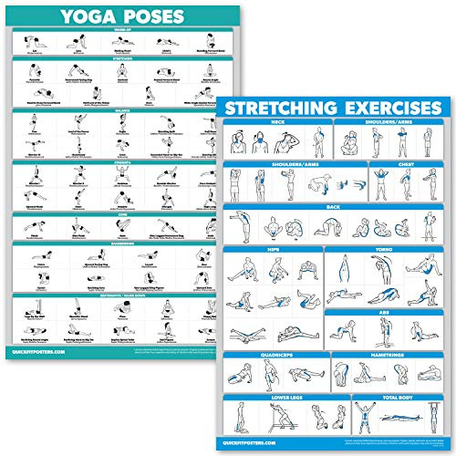 QUICKFIT Übungsposter für Yoga-Posen und Dehnübungen, laminiert, 2 Diagramme, Yoga-Positionen und Stretching-Workouts (45,7 x 68,6 cm)