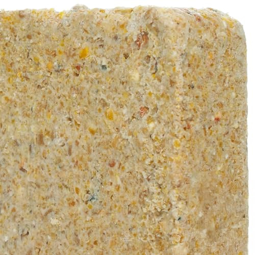 BusyBeaks Suet Fat Blocks | Premium Garden Wild Bird Food | Enhanced Formula | Naturally Blended, High in Energy & Protein-Rich Feed | Full of Nutritious Fat Fibre & Moisture (Peanut, 3)