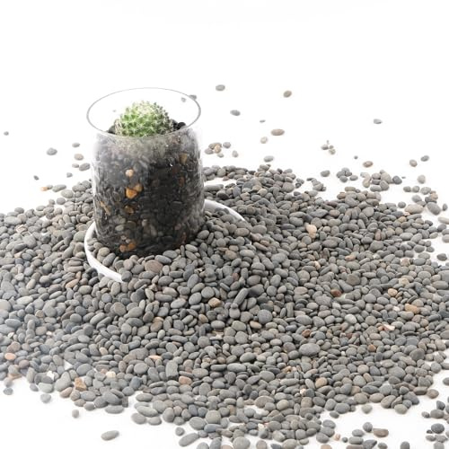 CJGQ Decorative River Rocks Pebbles for Succulents, Cacti & Gardens, Aquarium Gravel, Fish Tank Rocks, 2.4 lb