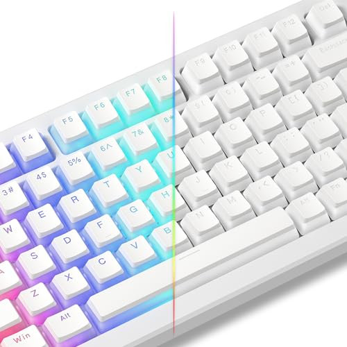LQXQ Pudding Keycaps PBT, keyboard 100 percent 130 Keys, Shine Through Keycaps OEM Profile for 100%, 75%, 65%, 60% MX-stem Switches Keyboards - White