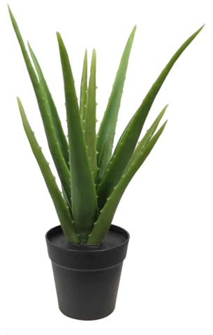 MichaelNoll Aloe Vera Pflanze, Kunstpflanze, Kunstbaum, künstliche Pflanze, Deko, im schwarzen Topf, sehr realistisch, Grün (35 cm - MN-KP-2217)