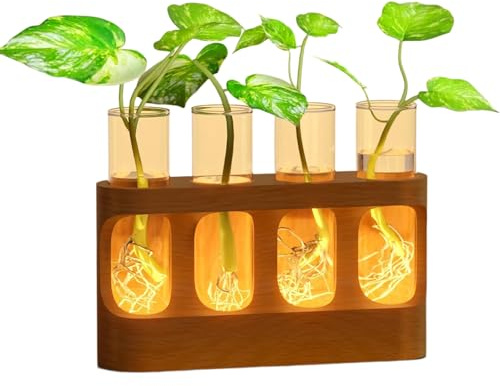 Matoebyr växtförädlingsstationer, skrivbord retro växt terrarium glödlampsvas med trästativ och LED-, för inomhus levande hydroponik växter kontor trädgård