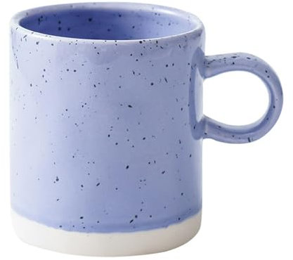 Lot de 2 tasses à café nordiques en céramique violette, tasse à thé en verre, tasse à eau créative pour couple, petit déjeuner