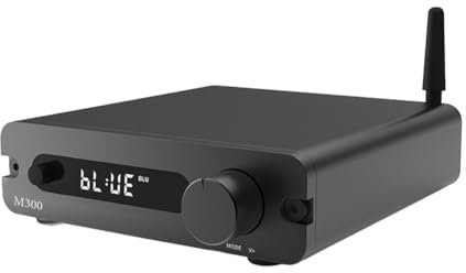 Lbvzxkad Decoder Amplifier Integrated Machine M300 Fever USB D Class Digital Amplifier Home Bluetooth High Power Amplifier