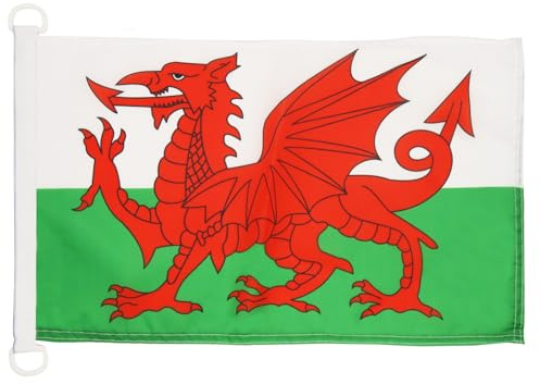 AZ FLAG Pavillon Pays de Galles 45x30 cm Maille Bloquée Anneaux Plastique | Usage extérieur et nautique Pavillon nautique gallois résistant aux intempéries avec coutures doubles et bords renforcés