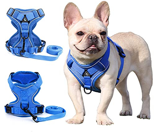 Zunea No Pull Dog Harnesses for Small Dogs Adjustable Puppy Vest, Blue, S | Nylon Fabric, Reflective, Breathable Mesh, Escape Proof, for Walking Training, Pet Chihuahua Yorkie Cats