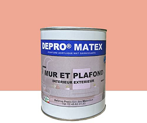 DEPROMA | Peintures Mur et Plafond | 1KG | peinture acrylique mate garnissante (Saumon / E3-27)