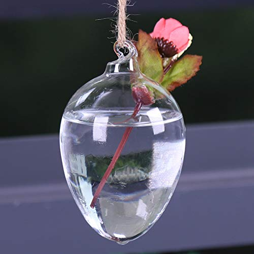 Wnvivi Vase à Fleurs Suspendu, Vase de Jardinière en Verre Transparent en Forme D'œuf, Récipient D'aquarium Hydroponique Suspendu, Vase à Boutons de Fleurs pour la Décoration de Jardin à la Maison