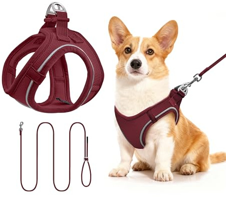 Hundegeschirr mit Leine 255cm M Set, Reflektierend (Weinrot) | Brustgeschirr Für Mittelgroße Hunde, Atmungsaktives Mesh Gewebe, Anti-Ausbruch, Spaziergang