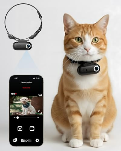 Katzen-Kamera-Halsband mit Handy-App, 1080P HD-Videoaufnahme, Haustier-POV-Kamera für Katzen und kleine Hunde, XS-Größe, wiederaufladbare Körperkamera für Haustiere mit App-Ansicht