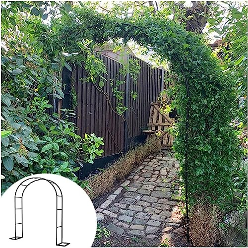 Arche de jardin robuste en métal résistant aux intempéries - Treillis de mariage - Arche décorative pour roses - 1,2 m x 2,2 m - Support floral blanc robuste