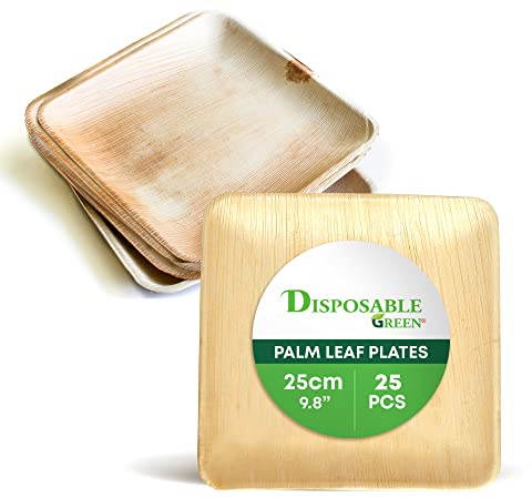 DISPOSABLE GREEN - Square Disposable Plates, Areca Leaf Serving Plates, Dinner Plates for Parties, Weddings, Catering, & More, Disposable Plates for Hot Food & Cold Food, 25L x 25W x 2.5D cm, 25-Pcs