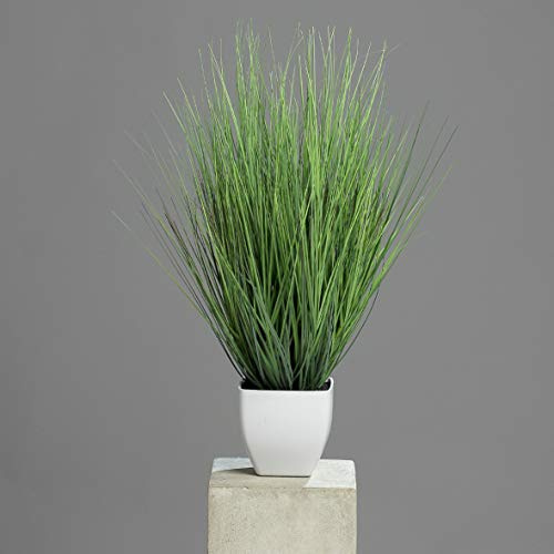 mucplants Isolepsisgras im weißen Topf, 60 cm, Kunstpflanze, Kunstgras Grasarrangement künstliches Gras für Zimmer-, Büro-, Gaststätten- oder Messedekoration
