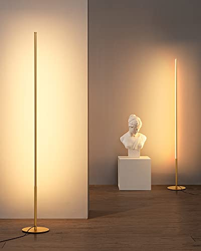 EDISHINE 2 Pack Modern LED Floor Lamp, 57.5 Minimalist Dimmable Standing Lamp,Tall Floor Lamps for Living Room, Bedroom, Office, 3000K Warm White Light, Golden