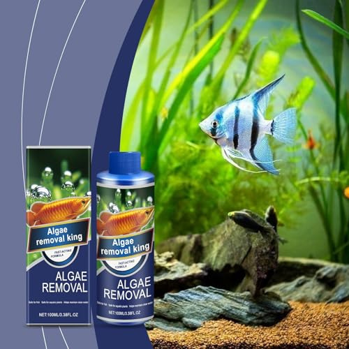 100 ml - Algenvernichter - Schnelle & effektive Algenbekämpfung für Süßwasseraquarien, verhindert Neubildung, sicher für Fische und Pflanzen klares Aquariumwasser, hochwirksame (Blue, 4.5x10.9cm)