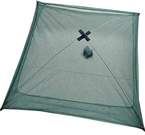 DELURA Senke Angeln Wurfnetz Zum Fischen Angelnetz Faltbare Köderfischreuse Fisch Reuse Fischernetz Köderfischsenke Reusen für Fischfang Fisch Minnow Panzerkreis Garnelen (Size : 100x100cm)