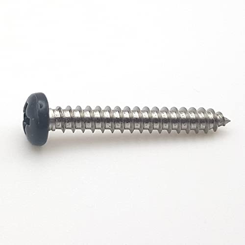Blechschraube 4,2 x 38 mm RAL 7016 grau anthrazit Zylinderkopf Ph Edelstahl A2 von 100