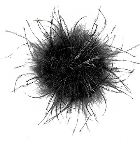 Vintage Feder Brosche - Elegante Straußenfeder Trachten-Brosche für Frauen & Mädchen - Gatsby Flapper Kopfschmuck & Schmuckzubehör für Pullover & Kleider