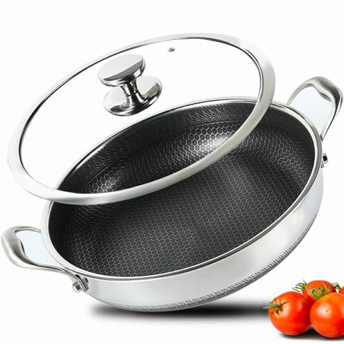 CYRDER 316L Stainless Steel Frying Pan-12inch Hybrid Nonstick Induction Pan with Lid, Two Handle Hold, PFOA Free, Dishwasher Oven Safe, Paella Pan for Stir fry/Toast/Roast/Bake/Stew, 6 Quart