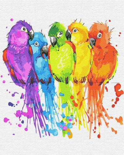 ARTNAPI Malen nach Zahlen Erwachsene mit Rahmen | DIY Handgemalt | Tiere - Bunte Sittiche | Kit für Anfänger und Erwachsene | Set inklusive Acrylfarben & Pinsel | 40x50cm Leinwand | Ideal als Geschenk