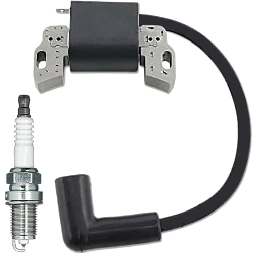 ZAMDOE 96499 595554 595959 592335 799645 793449 Motorzündspulen für Briggs & Stratton 111P02 111P05 111P07 11P902 19A400 19B400 für TimeMaster 30 Rasenmäher Modell 20199 P07 121Q02