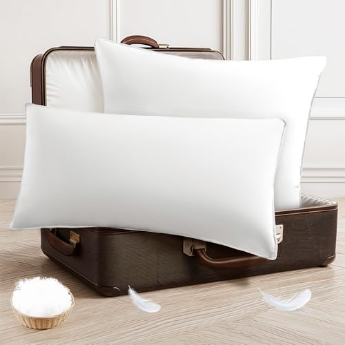 DEITAS Daunenkissen - 3-Kammer Design für optimalen Nackenstütz, weiche & atmungsaktive 100% Baumwollbezug, Bettkissen perfekt für Allergiker(Weiß,40x80 cm (2 Stück))