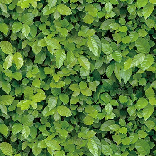 Papier peint autocollant 3D Feuilles vertes naturelles en vinyle autocollant pour meubles, armoires, garde-robe, étagères, 45 cm x 3,3 m