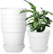 6 macetas Decorativas Interior, Maceta con Posavasos, Maceta de con Varios Agujeros de Drenaje, macetas Redondas para Dentro y en el balcón, Cactus jugosos (Blanco, 12 cm)