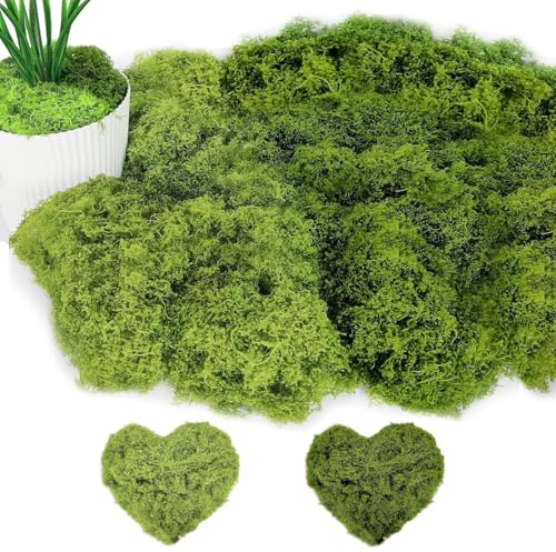 100g Muschio artificiale da decorare muschio artificiales in 2 diversi | muschios artificiale islandese, muschios artistico islandese, decorazione per foto muschi (Verde Chiaro + Verde Scuro)