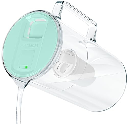 Wessper Jarra de Cristal con Filtro de 3 l con Contador de Cambio de Filtro, Jarra con Cartuchos de Filtro SIN BPA, Jarra de Cristal con Filtro de Agua de Carbón Activado, Menta