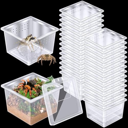 28 Pcs Insect Spider Terrariums Breeding Box, Small Reptile Hatching Container Small Reptile Scorpion Centipede Acrylic Breeding Box with Lid