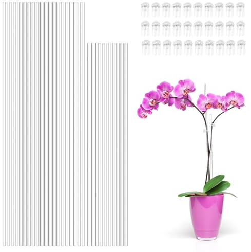Tuteurs pour Plantes, 30 Tuteurs en Acrylique Transparent pour Plantes, Tuteurs pour Plantes d'orchidées, Tuteurs de Jardin avec Pinces pour Plantes d'intérieur et d'extérieur