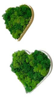 Gedankenwunder Manufaktur Islandmoos Farbkombi Moosbild Herz Herzen