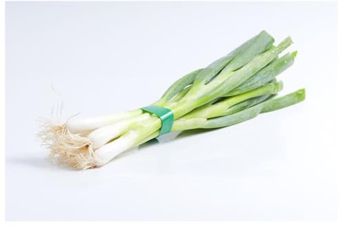 Sachet de graines de Poireau géant de provence à semer- Les Graines Bocquet