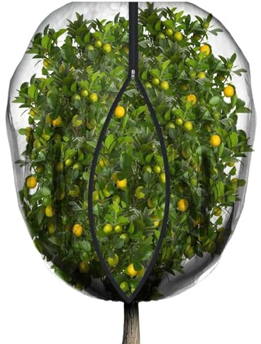 Filet anti-oiseaux pour le jardin | Matériaux de jardin extra robustes - Cordon de serrage Housse d'arbre Filet de jardin pour groseilles tomates buissons potager verger jardinage - Protection contre