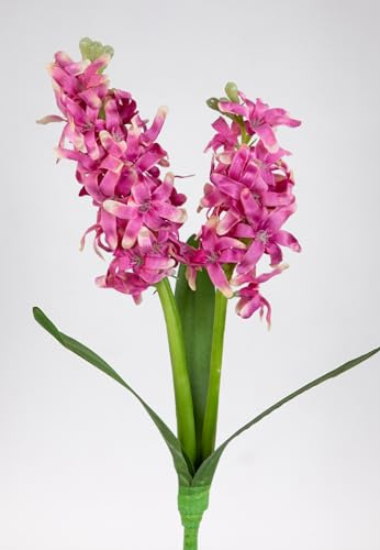 Seidenblumen Roß Hyazinthe mit 2 Blütendolden 36cm JA Kunstblumen Kunstpflanzen künstliche Blumen Pflanzen (Fuchsia)