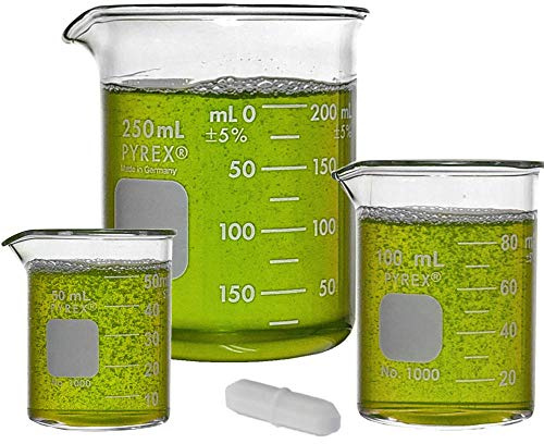 Corning Pyrex Griffin Low Form Corning Beaker Set (Set of 5)