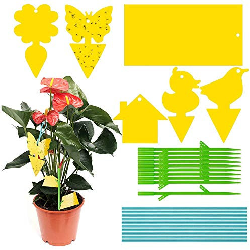 Fruchtfliegenfalle, 90 Pcs Fruchtfliegenfalle FüR KüChe, MüCkenfalle Outdoor Innen, Gelbsticker SchüTz Pflanze Vom TrauermüCken BlattläUse, FüR Fruchtfliegen MüCken BlattläUse Nematoden