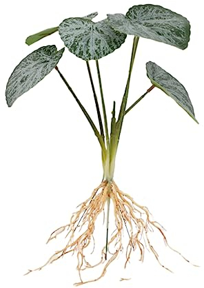 Artificial Fake Plants Simulation Plant Leaves Artificial Hydroponic Turtle Back Leaf Soft Tape Fake Flower Landscaping Interior Decoration Green Plant Potted Six-Headed Flower Begonia