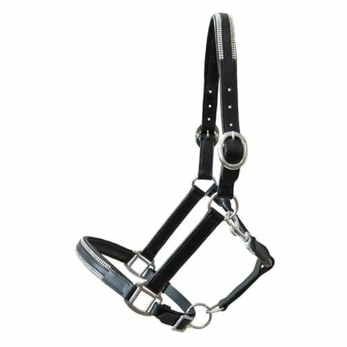 German Riding Lederhalfter Sparkle (Pony)