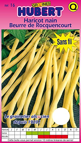 Graines Haricot Nain Beurre de Rocquencourt, 150 grammes | semences reproductibles Non Traitées