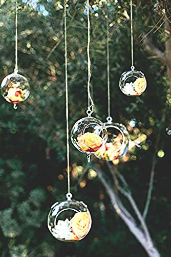 Ecosides Set of 12 Hanging Glass Globe 80MM, Tealight Candle Holder Glass Orbs Terrariums Planters Air Plants Holder Indoor & Outdoor Home Decor for Wedding Party Garden DIY Gifts,With 2 Side Holes