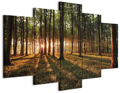 B&D XXL - Akustikbild Akustikbild Wald Natur, Schallschutz, Wohnzimmer | Verbessert Raumakustik, reduziert Hall, ideal fürs Büro oder Wohnzimmer, hochwertige Verarbeitung, schnelle Montage, stilvoll