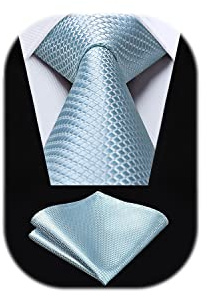 HISDERN Herren Krawatte Hochzeit karierte Krawatten Taschentuch Blumen Elegant Klassisch Krawatte & Einstecktuch Set