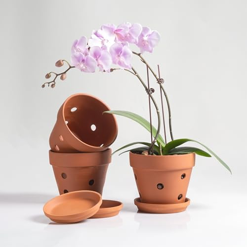 HERDUK Ton-Orchideentöpfe mit Löchern, Terrakotta-Orchideentöpfe mit Drainagelöchern und Untersetzer zum Umtopfen, 15,2 cm, Orchideen-Pflanzgefäße für Zimmerpflanzen