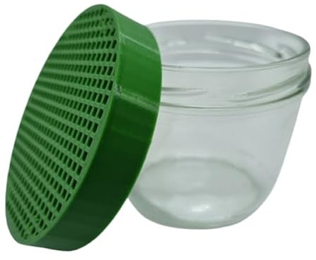 Schmitt Aquaristik Laichfalle Set für Perlhuhnbärblinge und andere ablaichende kleine Fische/Glas + Aufsatz grün