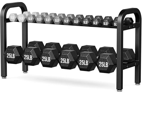 2 Tier Dumbbell Rack, Weight Rack for Home Gym, 300 lb Capacity