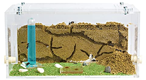 AntHouse - Natural Sand Ant Farm | Acrylic Starter Kit 20x10x10 cm