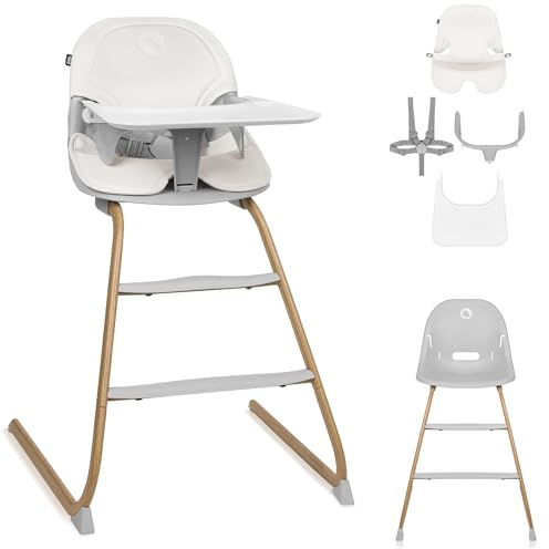 LIONELO DALIA 2 in 1 Seggiolone Pappa Bambini 6-36 mesi 15 kg, Seggiola Bambini Più Grandi fino a 60 kg, Cinture di Sicurezza a 5 Punti, Vassoio, Cresce con il Bambino