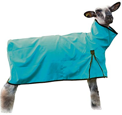 Weaver Leather Livestock Sheep Blanket, Solid Butt, Extra-Small, Blue